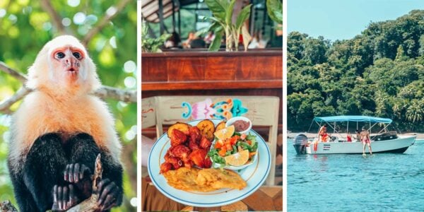 On this Costa Rica itinerary, you’ll be visiting three national parks; exploring cloud forests, rainforests and jungles; going snorkeling and swimming in crystalline waters; going on adventures on ziplines and hanging bridges and volcanoes and canyons and hot springs and rivers; and meeting many of Costa Rica’s most famous wildlife residents.